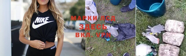 гашик Зеленокумск