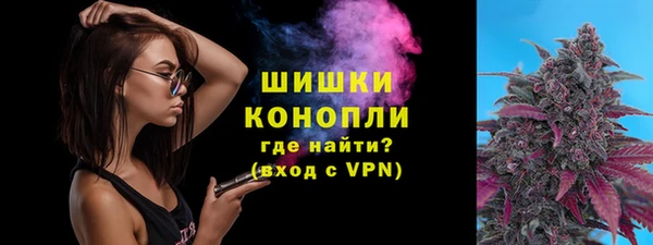 гашик Зеленокумск