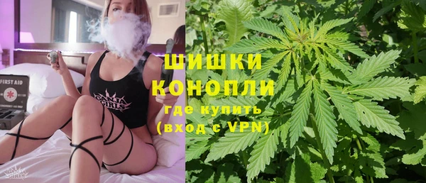 гашик Зеленокумск