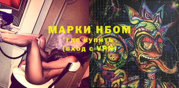 гашик Зеленокумск