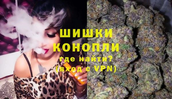 гашик Зеленокумск