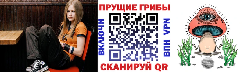 Псилоцибиновые грибы Cubensis Купить где Асино